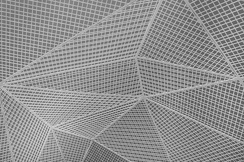 Photo of a webbed surface showing interconnectivity, much like the www.