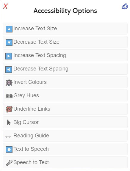screenshot of accessibility options available